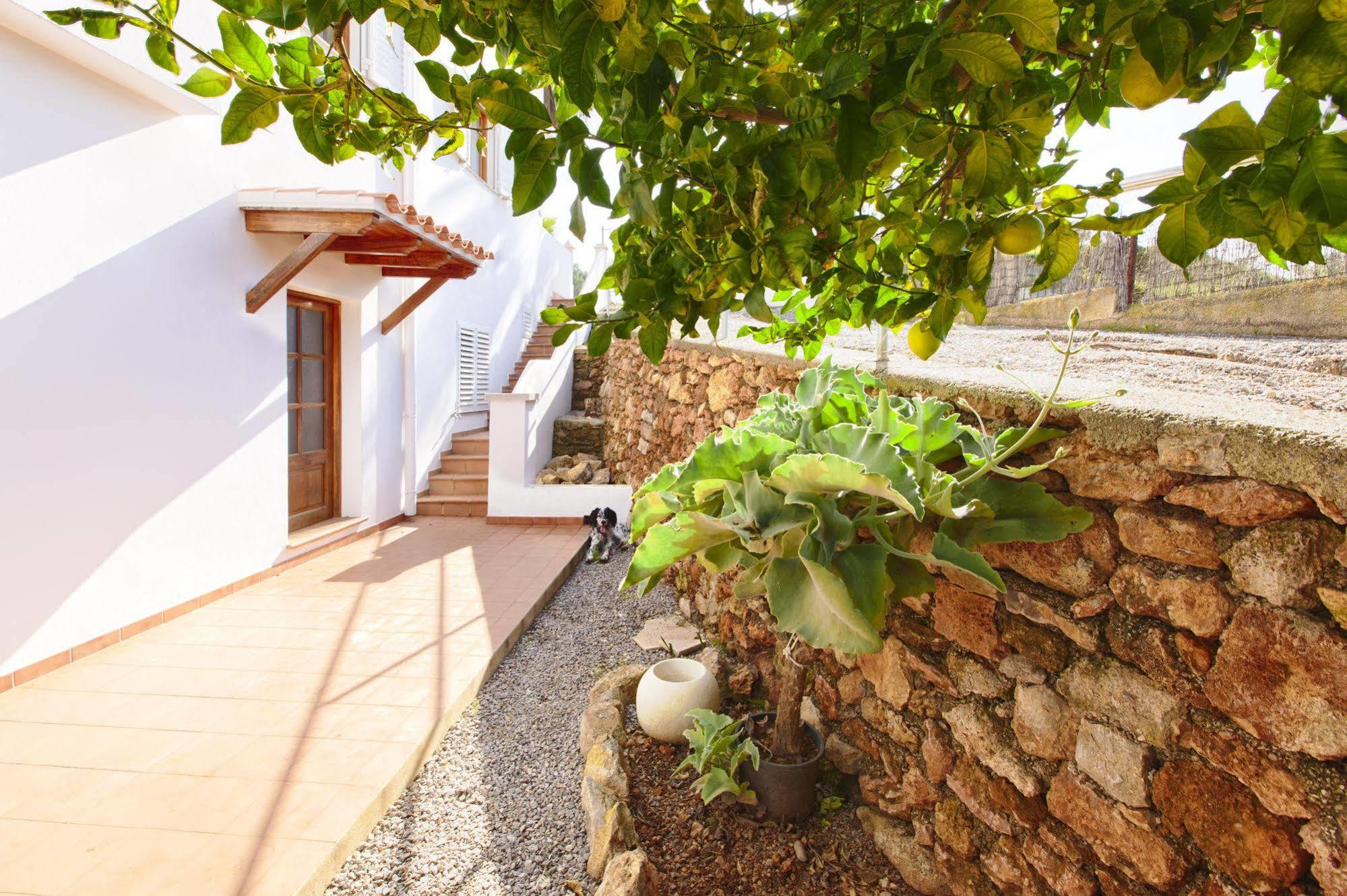 Apartamentos Colomar Santa Eularia des Riu Zewnętrze zdjęcie